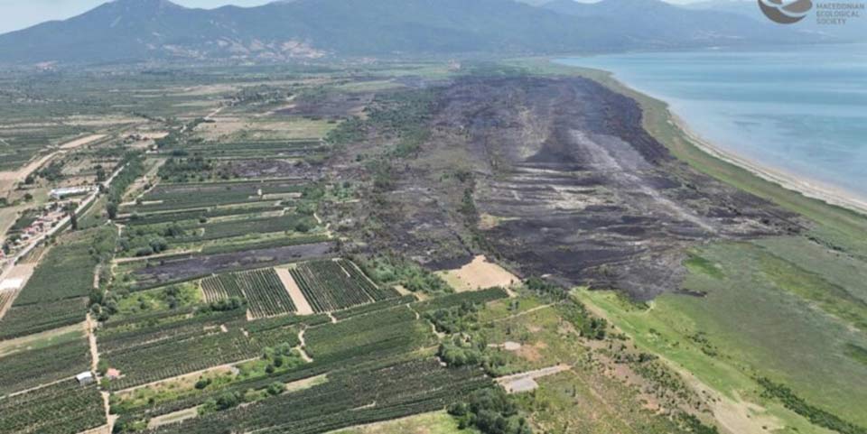 Nga një zjarr i fuqishëm rrezikohet Parku Natyror Ezerani